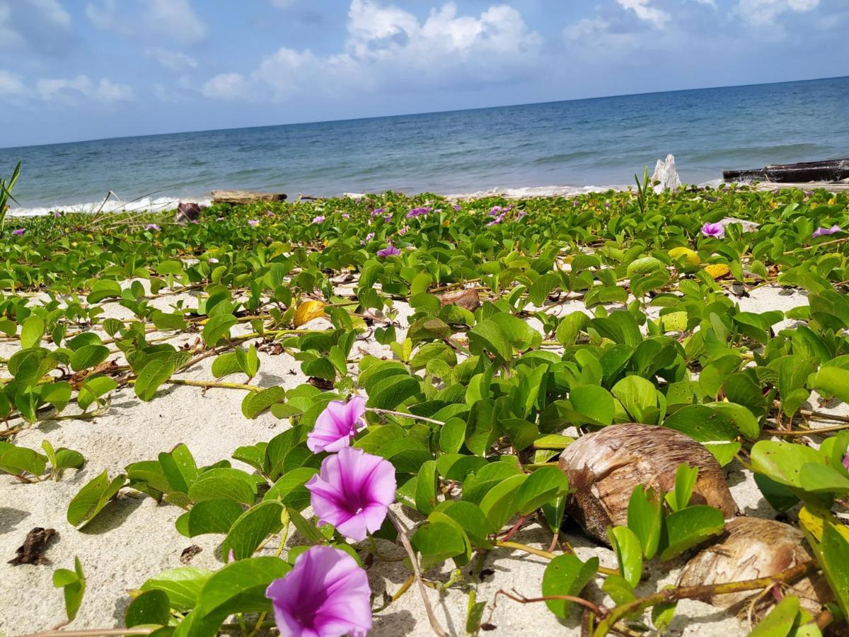 Los Versos De Zaira San Onofre Bagian luar foto
